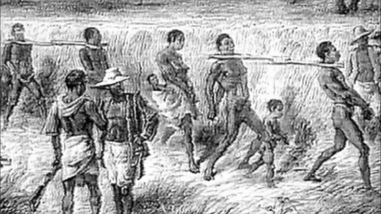 Kenshi башня жестокости. Игра slave тренер. 1619 — первые африканские рабы доставлены в джеймстаун, вирджиния. Негры рабы латинская америка 19 век. Рабские рынки кенши.