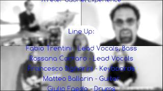 Indigo - A Peter Gabriel Experience: Don't Give Up
