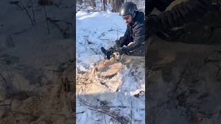 How To Cut Stumps Down Level