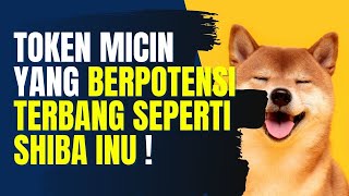 3 Token Micin Harga Masih Murah Dan Potensial Seperti Shiba Inu