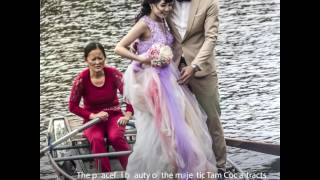 Vietnam Airlines - Ngo Dong River In Harvest Season The Soul Of Tam Coc