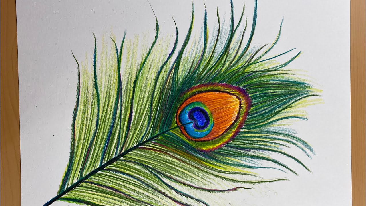 How to draw Beautiful Peacock feathers with Color pencils - YouTube