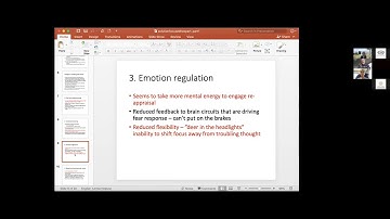 "Solution Focused” as a Transdiagnostic Approach to Mental Health in Primary Care