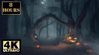 8 Hours of Halloween Forest Wallpaper: Pumpkins and spooky halloween music