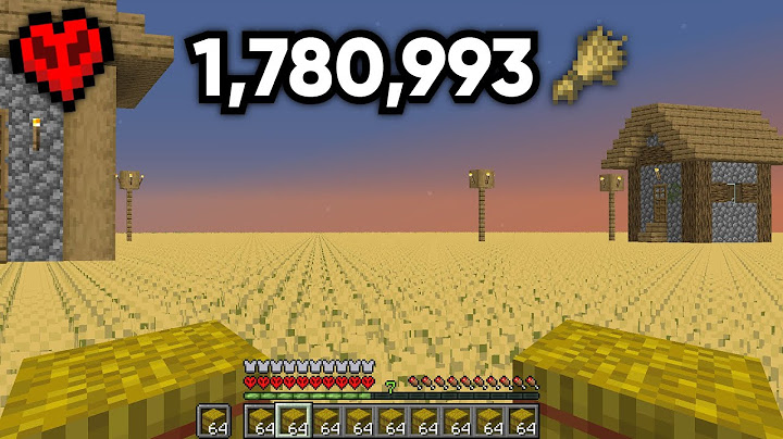 J'ai Construit le Plus Grand Champ sur Minecraft Hardcore