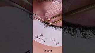 YY Lashes | 2D Volume Lashes for Soft, Fluffy & Effortless Lash Sets screenshot 1