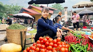 Harvesting Tomatoes, Beans & Chili Goes To Market Sell - Live with natural | New Free Bushcraft