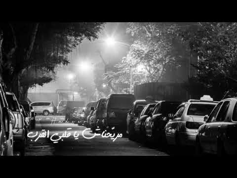 حالات واتس اب عمرو دياب   حبايب ايه