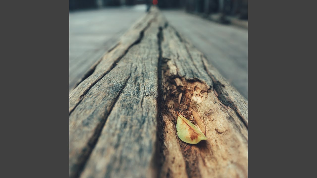 Guarda Lights su YouTube Guarda Lights su YouTube