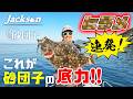 【衝撃】フラットフィッシュを虜に！砂団子で連続ヒット！