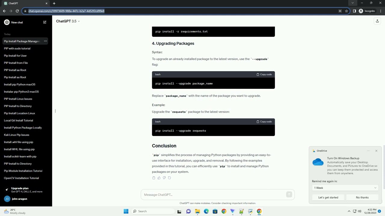 pip install as system