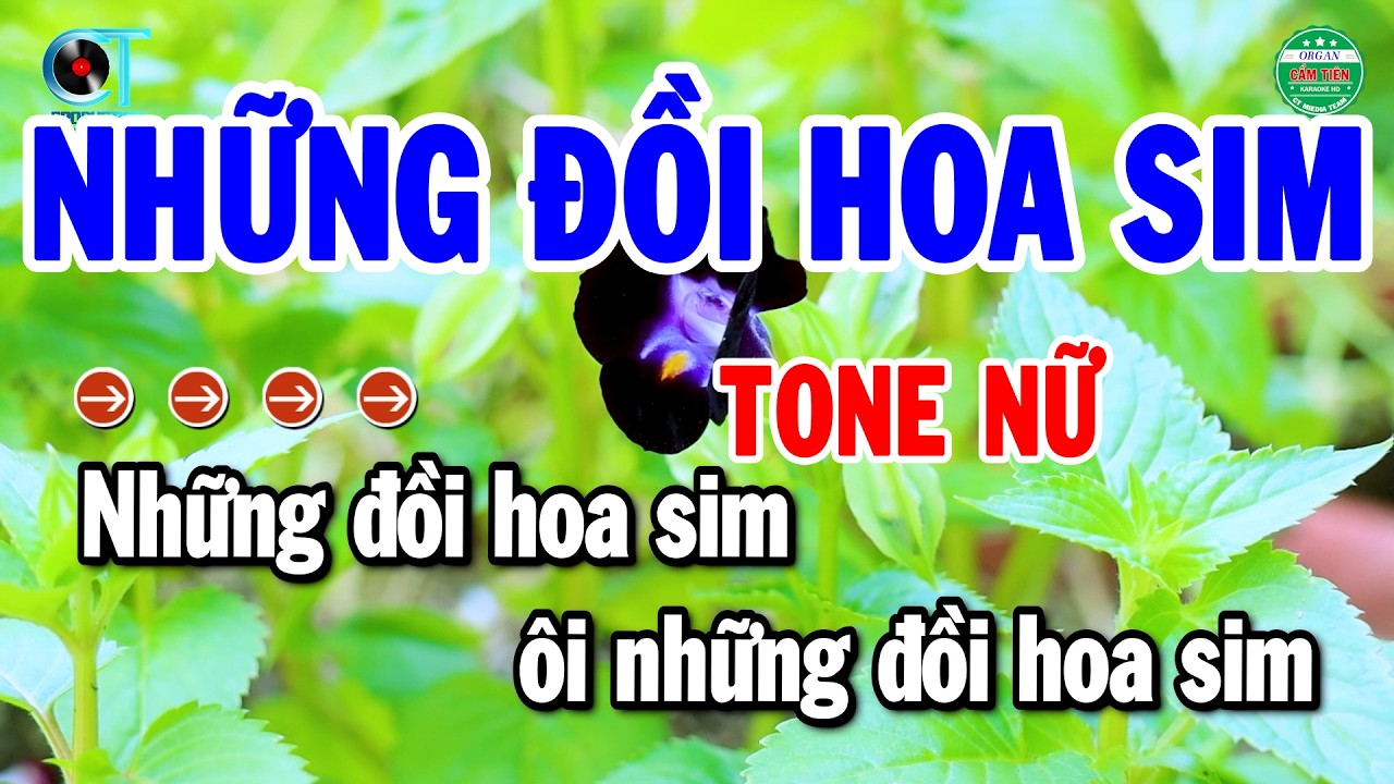 Karaoke Những Đồi Hoa Sim Tone Nữ Nhạc Sống Beat Chuẩn 2026 | Cẩm Tiên Organ