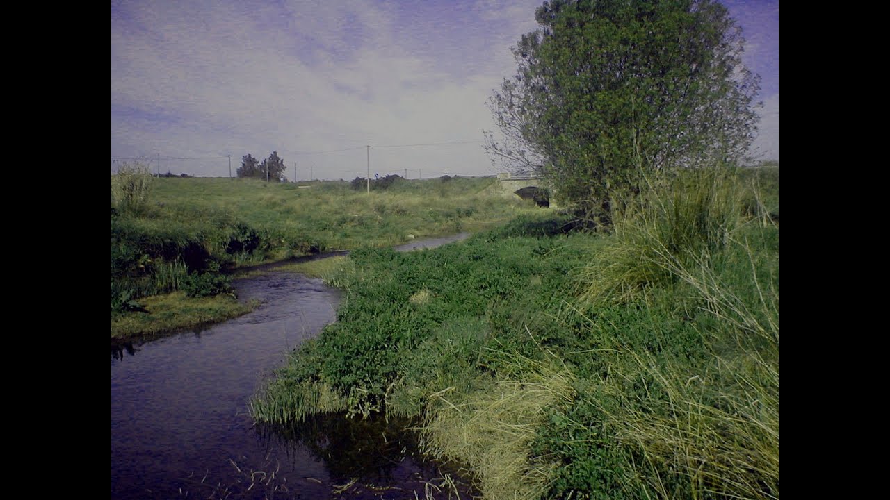 Ao passar a Ribeirinha - Musica Tradicional do Alentejo