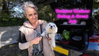 Our Trainee Trainer Doing An Amazing Job (Cutest Maltese Ever) by Southend Dog Training 2,704 views 4 months ago 30 minutes