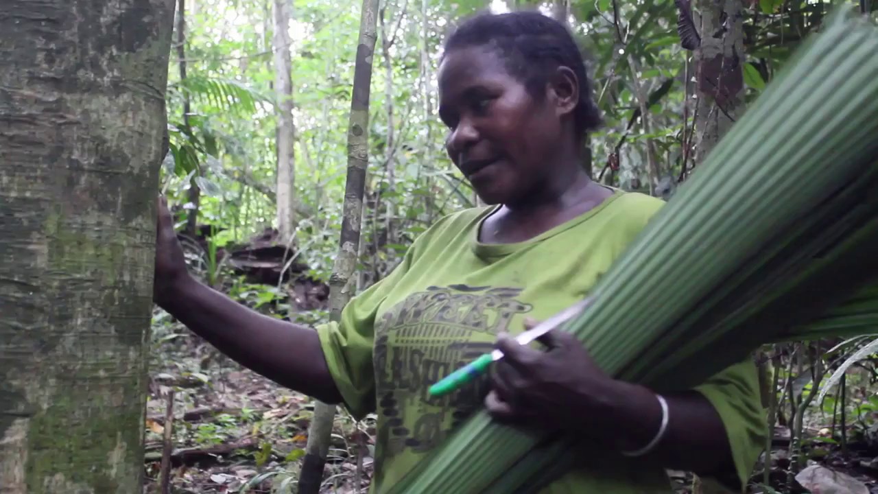 AGMAI Kain  Kulit  Kayu dari  Suku Moi di Sorong YouTube