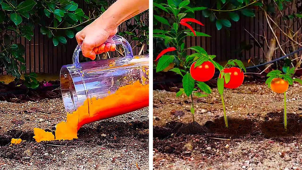 24 PLANTING LIFE HACKS TO GROW A GREAT GARDEN - Gardening Gardens