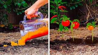 24 PLANTING LIFE HACKS TO GROW A GREAT GARDEN