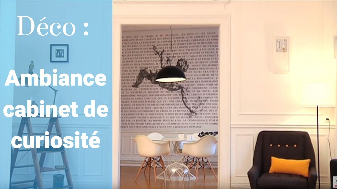 Ambiance cabinet de curiosités - GNOOSS TV