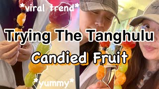 Tanghulu Candied Fruit First Impression!