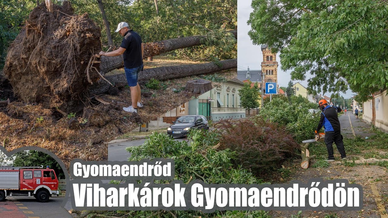 Viharkárok Gyomaendrődön