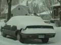 Snowfall Cleanup Snowfall Cleanup