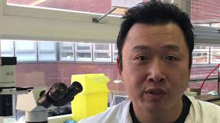 Dr Wai Liu talks to us about his research for World Cancer Day