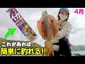【春イカ】これなら誰でも簡単にアオリイカが釣れる!?(アジの泳がせ&エギング)