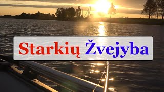 Starkių žvejyba - Gabrielius Ser