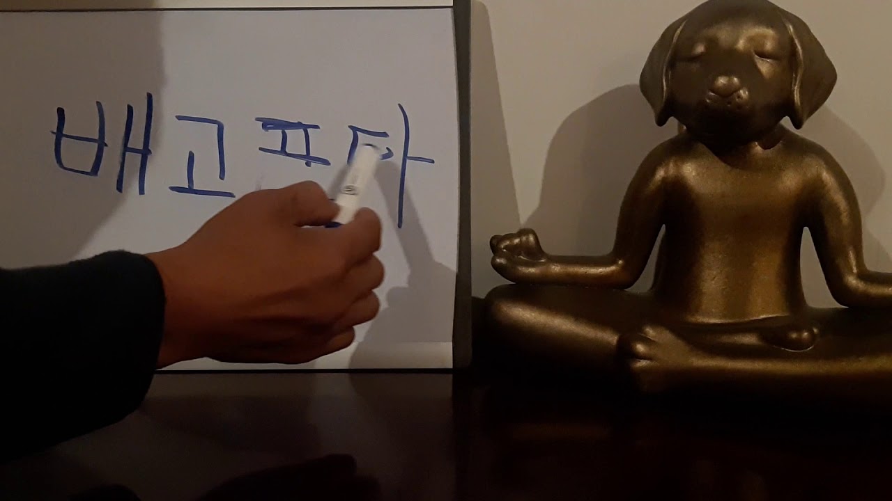Learning the basics of korean (how to say hungry) - YouTube