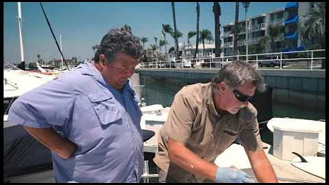 Painting My Boat with Tuff Coat Paint, Part II | SPORT FISHING