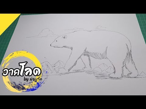 วีดีโอ: วิธีการวาดหมีขั้วโลก