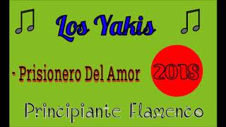 Miniatura de vídeo de "Los Yakis -Prisionero Del Amor 2018 | Principiante Flamenco."