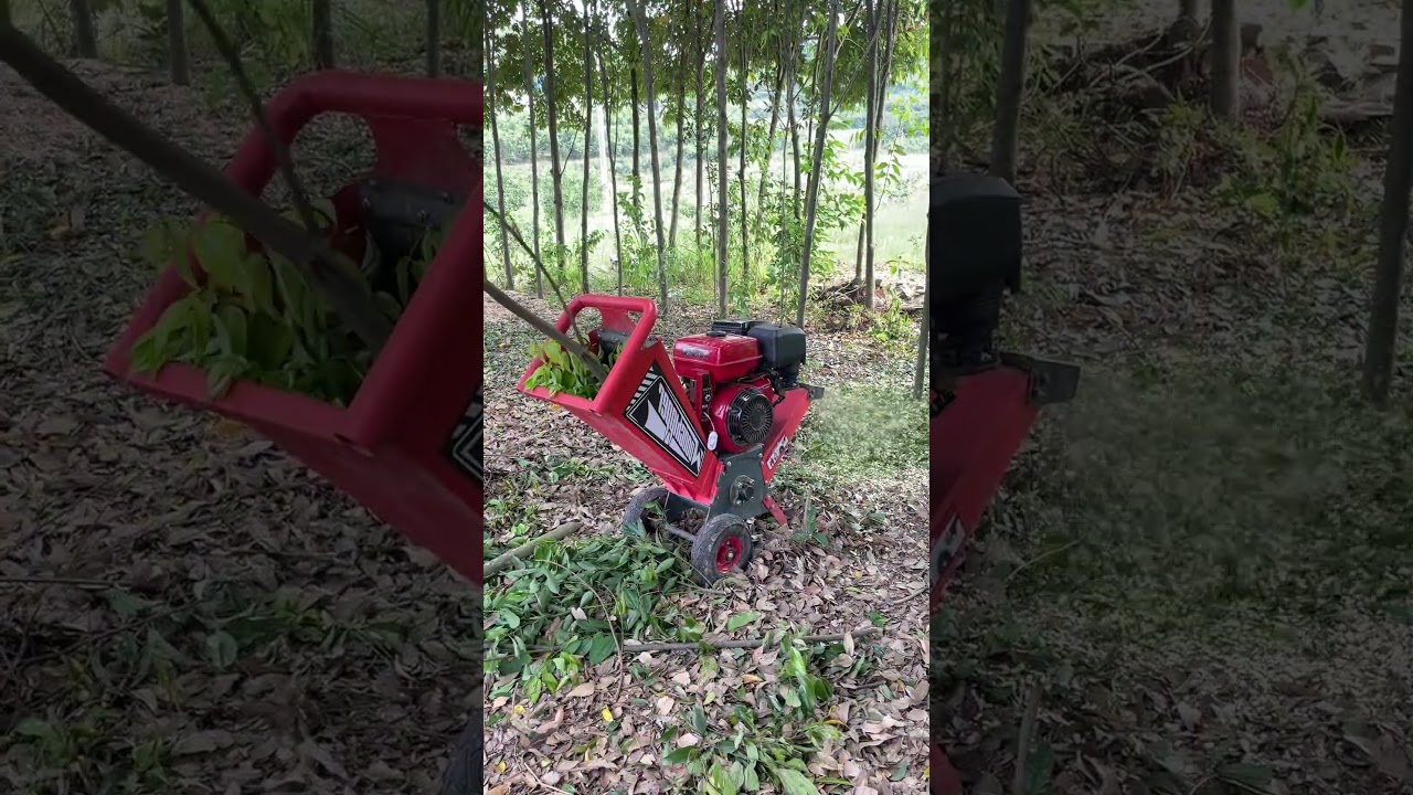 Robust Wood Chippers for Thick Wood Shredding.