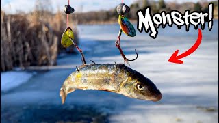 The Hunt For A Monster..ice Fishing Up North!!! (We Found Unexpected Giants!!)