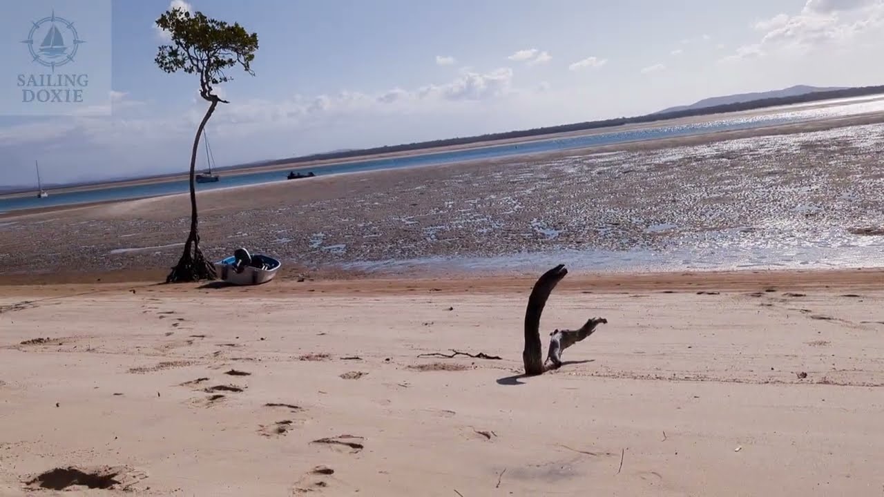 Day 120: Southerlies, Snakes & Bustard Head – A Lighthouse Trek from Pancake Creek | Sailing Doxie