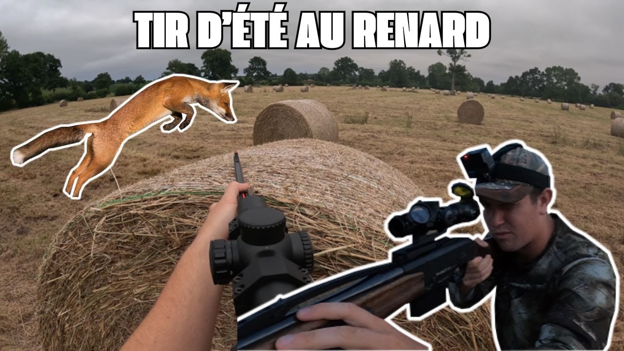 Tradition chasse au renard avec des cavaliers style anglais avec des