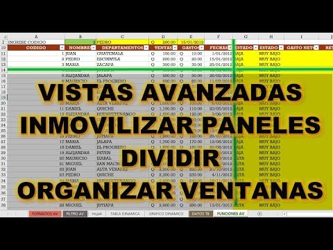 VISTAS AVANZADAS EN EXCEL