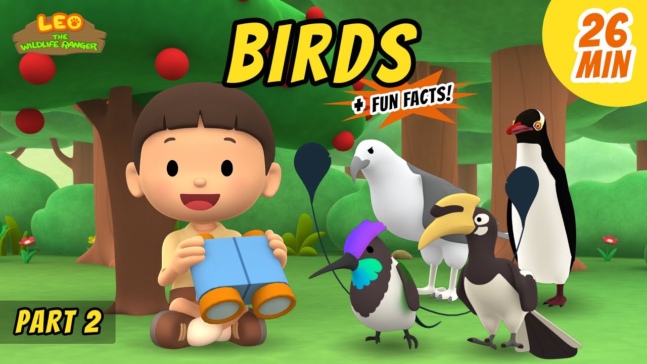 Play: Birds (Part 2/3): a long, calm dive into the world of birds