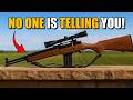 The Brutal Truth About Ruger Mini-14 What NO ONE Is Telling You