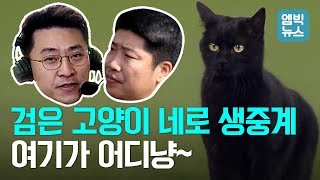 검은 고양이 네로의 등장!! 잠실 야구장 난입 사건의 전말은??