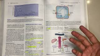 Anti diabetic drugs pharma | Katzung chapter 41 part 2/2