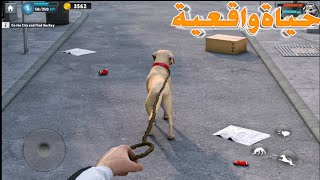 لعبة محاكي الحياة الواقعية لاستكشاف الشوارع ومساعدة الحيوانات المشردة للاندرويد| ألعاب محاكاة واقعية screenshot 1