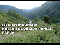 Jelajah Hutan Bogobaida Paniai Papua