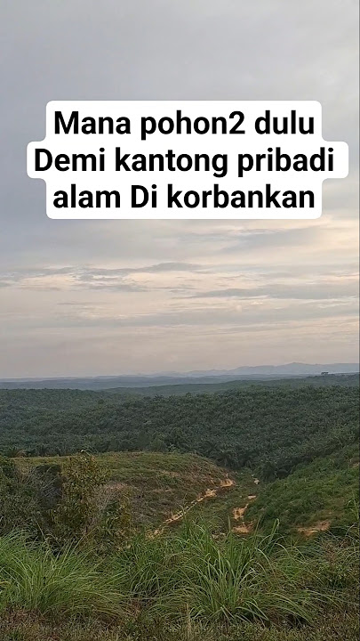 demi kantong pribadi, hutan yang indah di k0rb4nk4n. #fyp