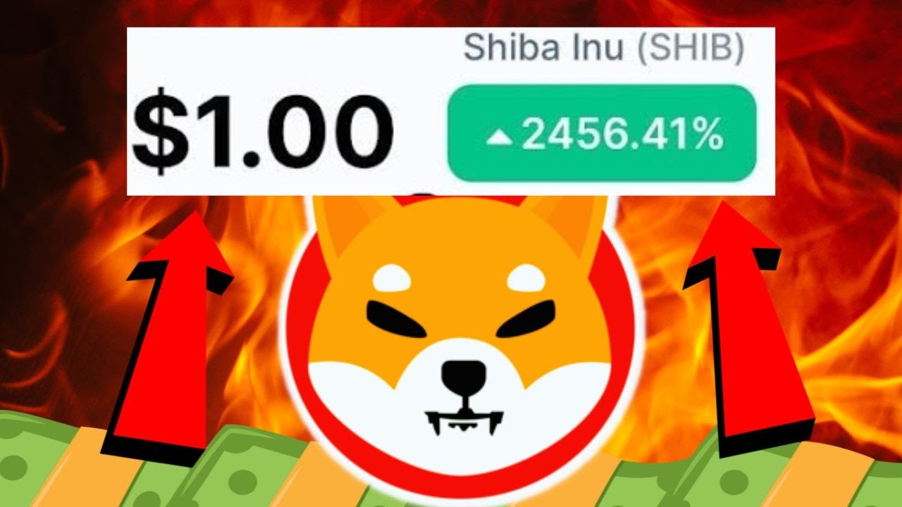 BREAKING SHIBA INU HITS 1 VERY SOON ITS MORE LIKELY THAN YOU moonlight-shibas-shiba-inu-puppies-for-sale-in-wymore-ne-akc