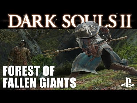 Dark Souls 2 - New PS3 Gameplay: Forest Of Fallen Giants
