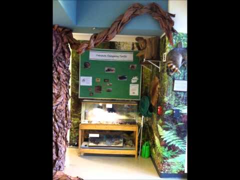 The Living Wedge Project/Matoaka Elementary School