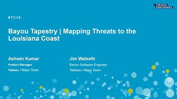 Bayou tapestry | Mapping threats to the Louisiana coast
