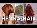 Henna pura en el cabello, coloración natural vegetal | Lawsonia | Resultados antes y después