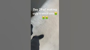 Day 29 of making ugly transitions #day #fyp #transition